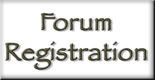 Donate Button with Credit Cards