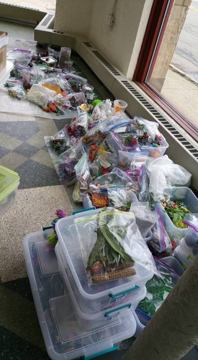 23231224_10214779449463606_4343517652664683516_n