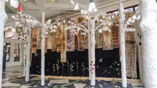 IntoTheForest-20171110_143725 copy