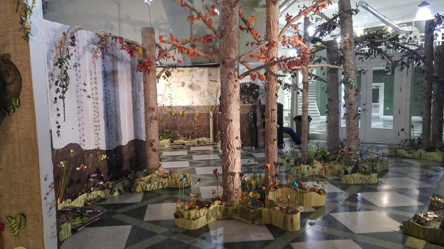 IntoTheForest-20171116_185219 copy