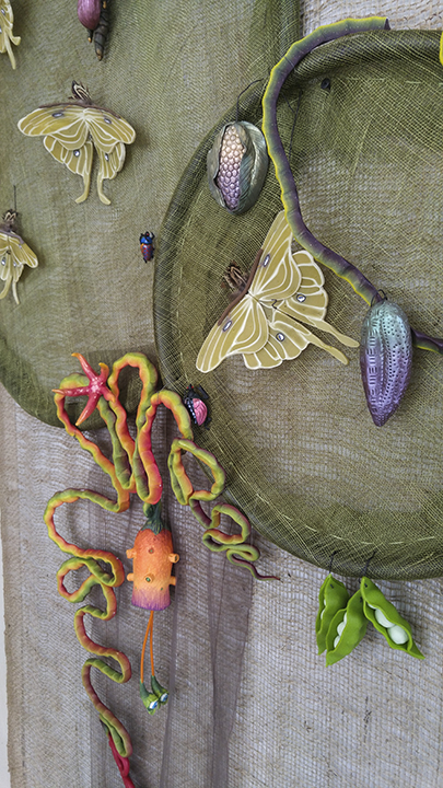 IntoTheForest-20171117_143352 copy