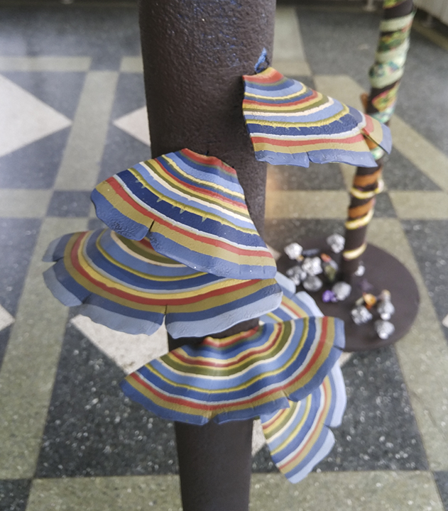 IntoTheForest-20171117_143557 copy