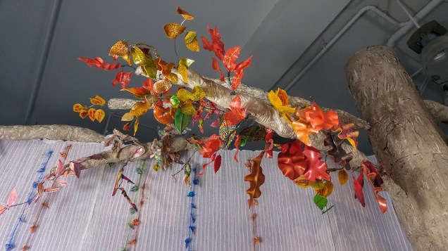 IntoTheForest-20171121_164945 copy