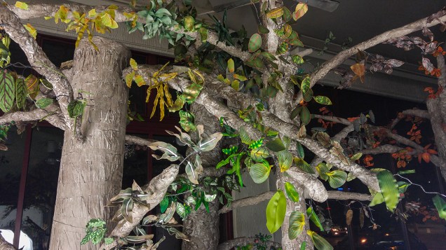 IntoTheForest-20171121_192149 copy