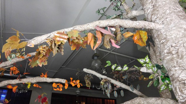 IntoTheForest-20171121_193526 copy