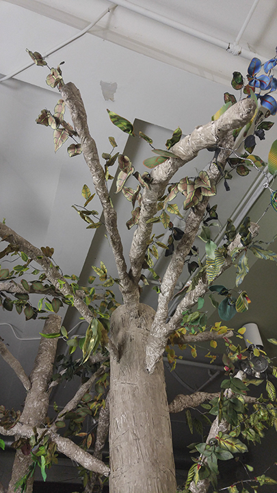 IntoTheForest-20171121_193618 copy