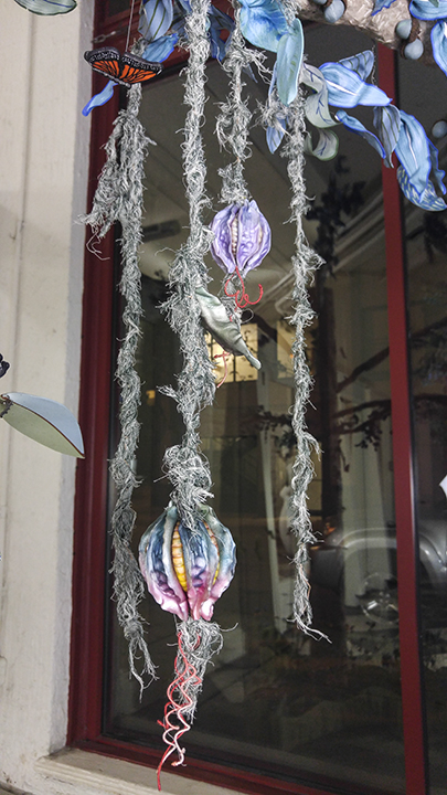 IntoTheForest-20171121_194641 copy