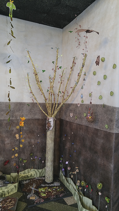 IntoTheForest-20171128_111656 copy