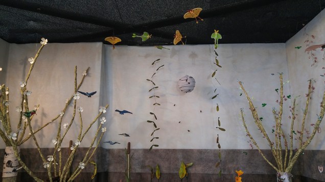 IntoTheForest-20171128_111710 copy