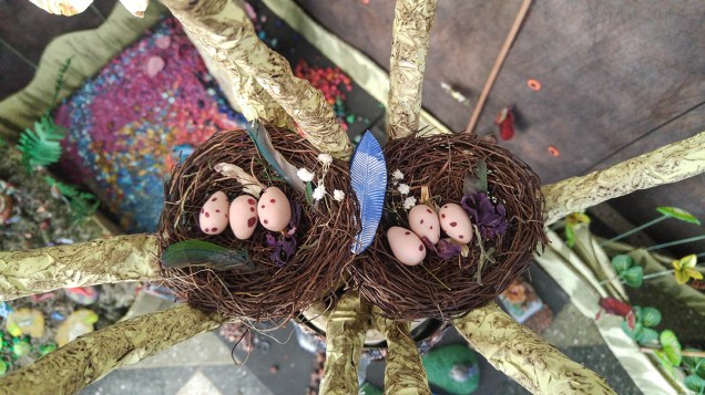 IntoTheForest-20171129_132601 copy