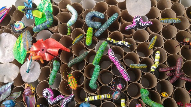 IntoTheForest-20171128_122904 copy