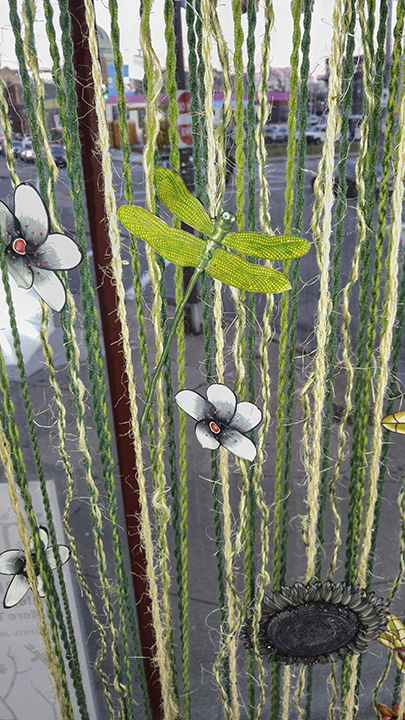 IntoTheForest-20171129_165718 copy