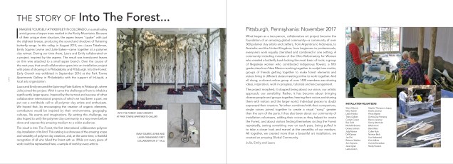 IntotheForest-Installed-1